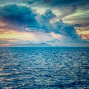 Meet your Posher, Jaylynn